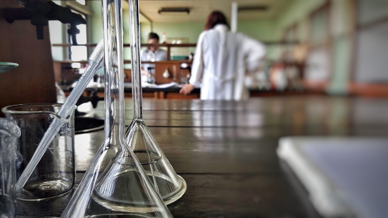 Students in laboratory