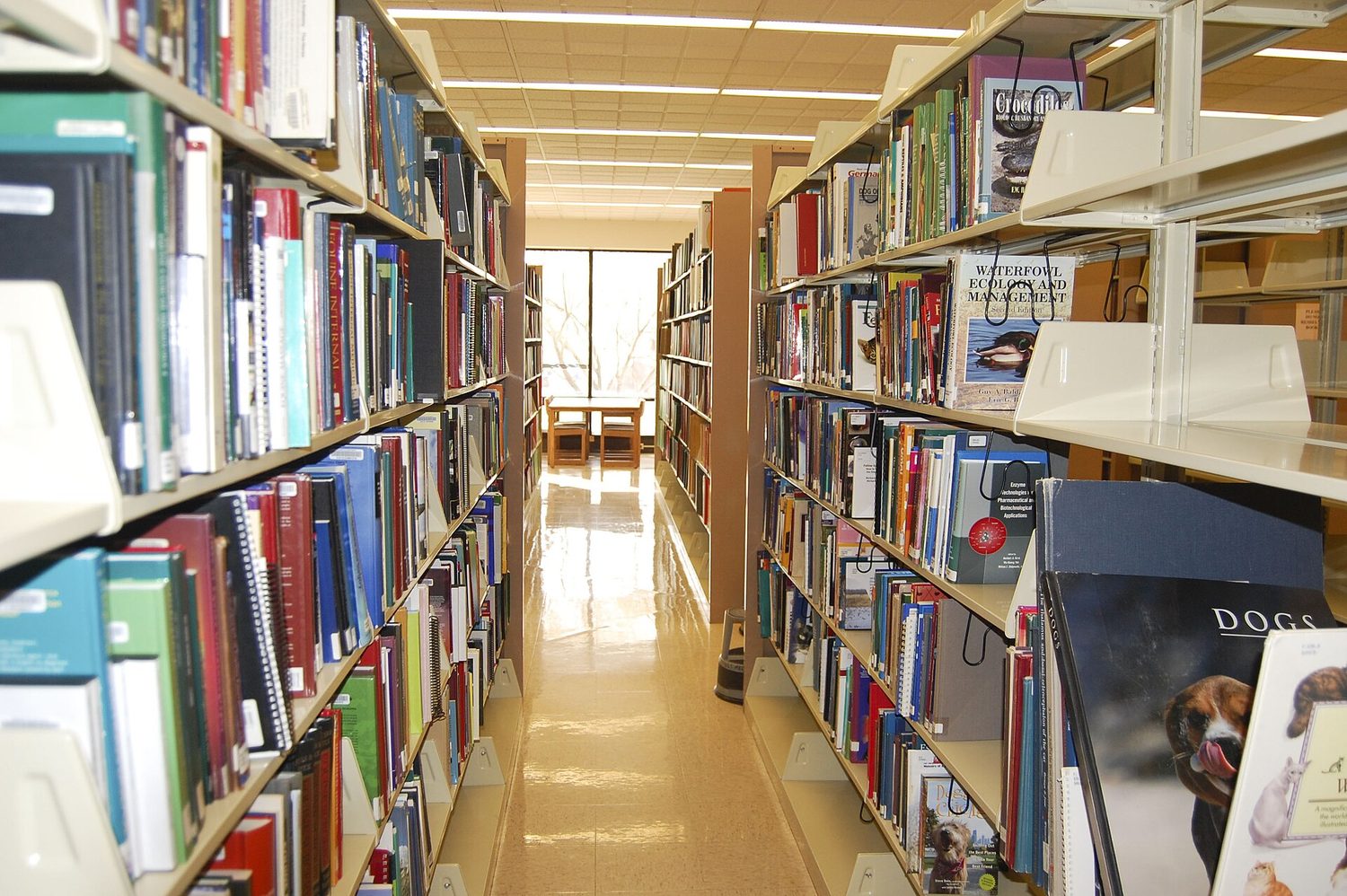 Library